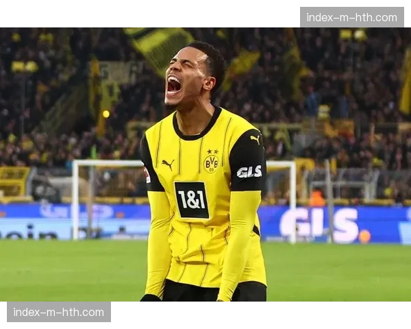 多特蒙德3-0完胜沃尔夫斯堡，暂时保住积分榜次席位置